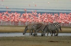 Lake-Manyara-National-Park