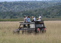 Game Drive