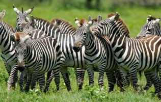 Lake Mburo National Park