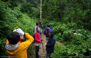 Nyungwe