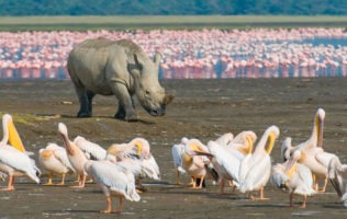 Lake Nakuru