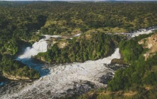 6 Days Gorilla Trekking and Murchison falls