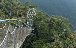 5 Days Akagera and Nyungwe National Parks