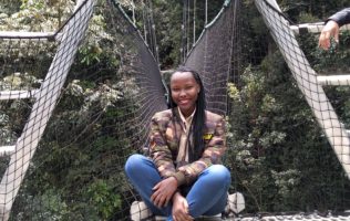 Canopy walk